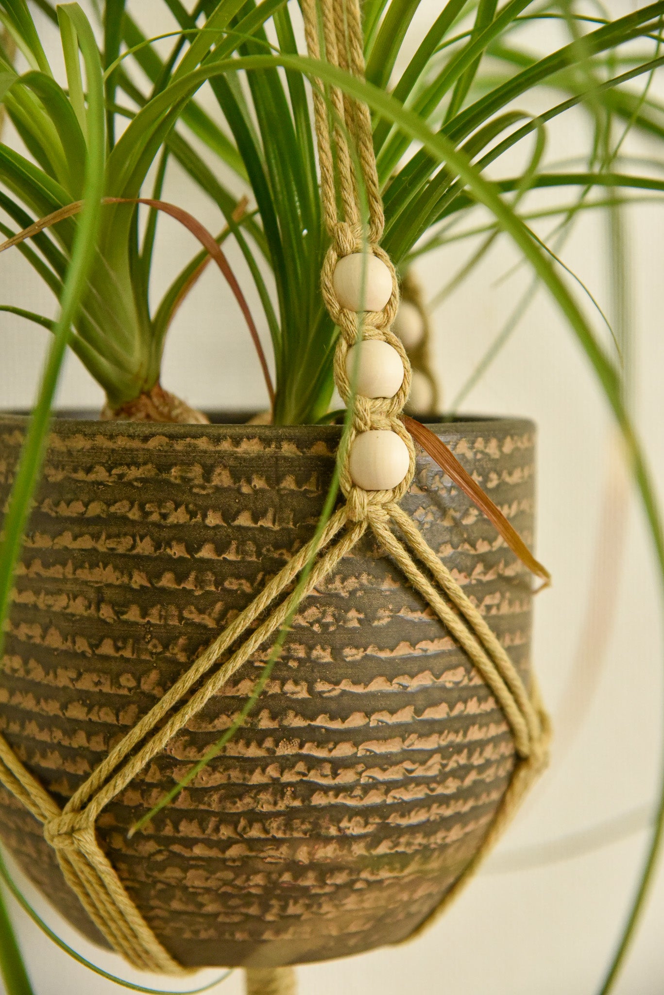 Porte 1 plante anneau macramé modèle n°2