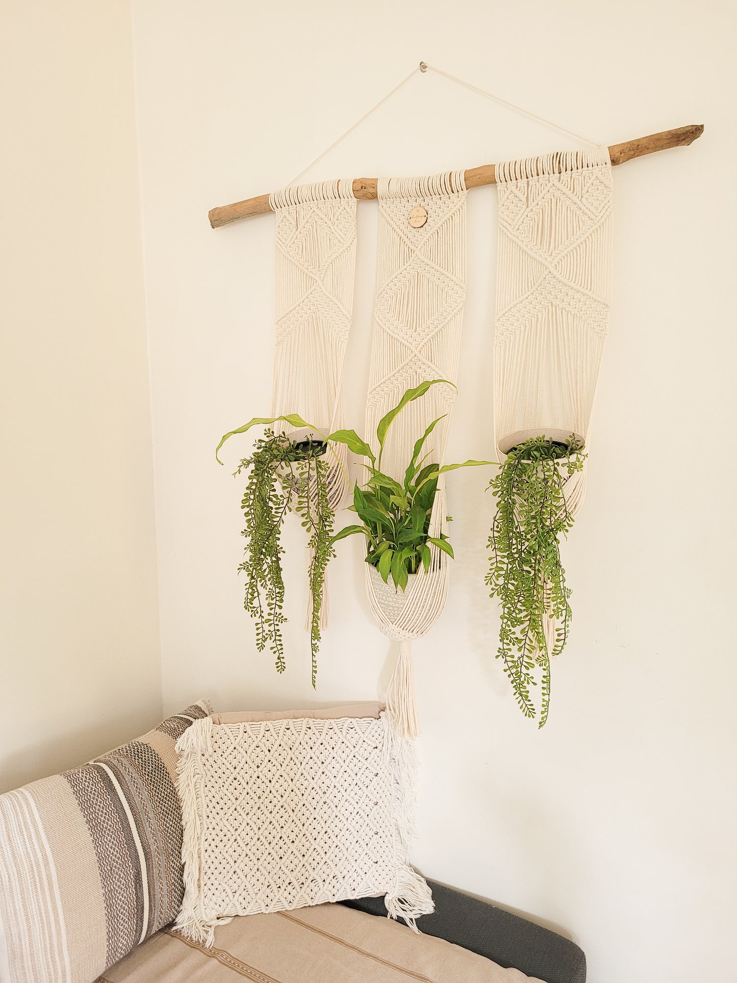 Porte 3 plantes
