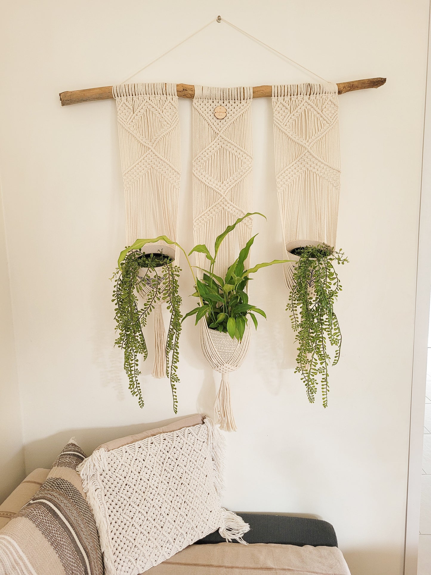 Porte 3 plantes