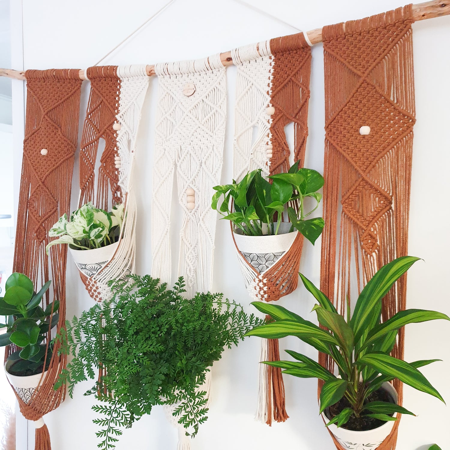 Portes-plantes