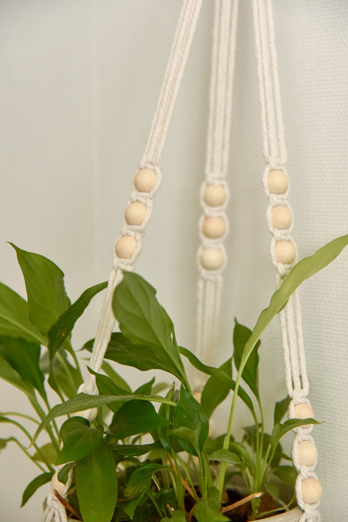 Porte 1 plante anneau macramé modèle n°2