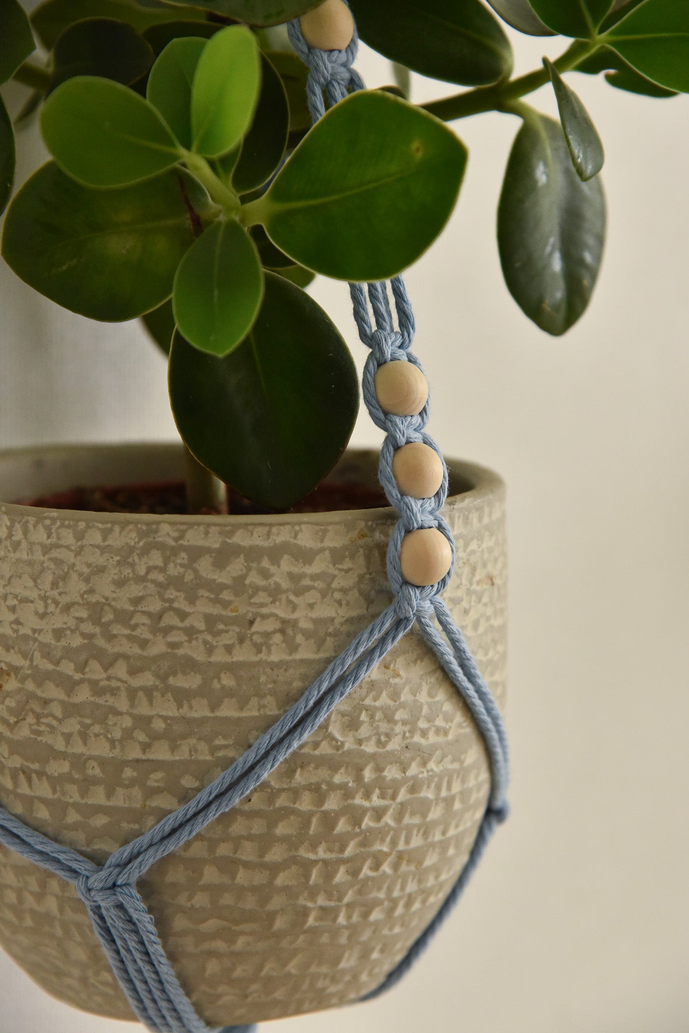 Porte 1 plante anneau macramé modèle n°2