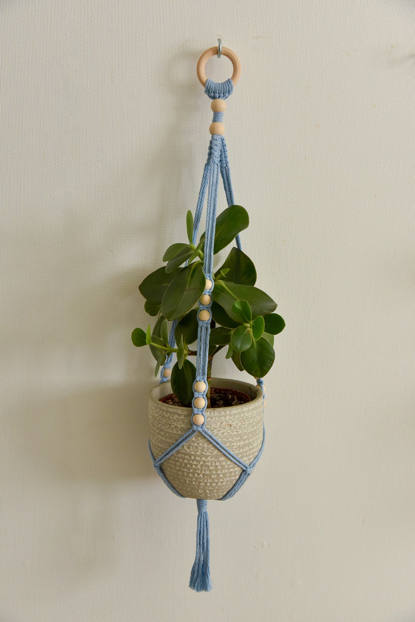 Porte 1 plante anneau macramé modèle n°2
