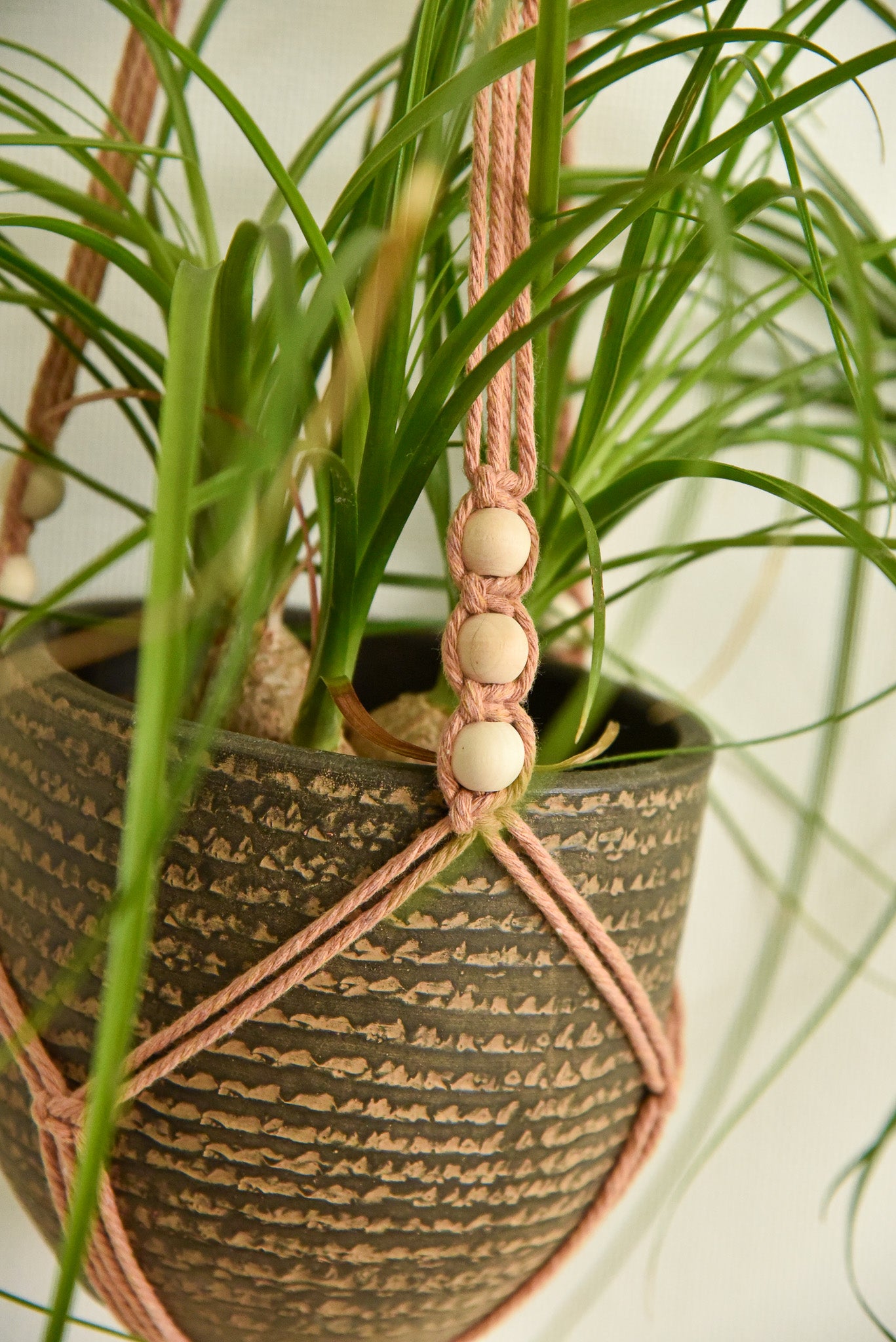 Porte 1 plante anneau macramé modèle n°2