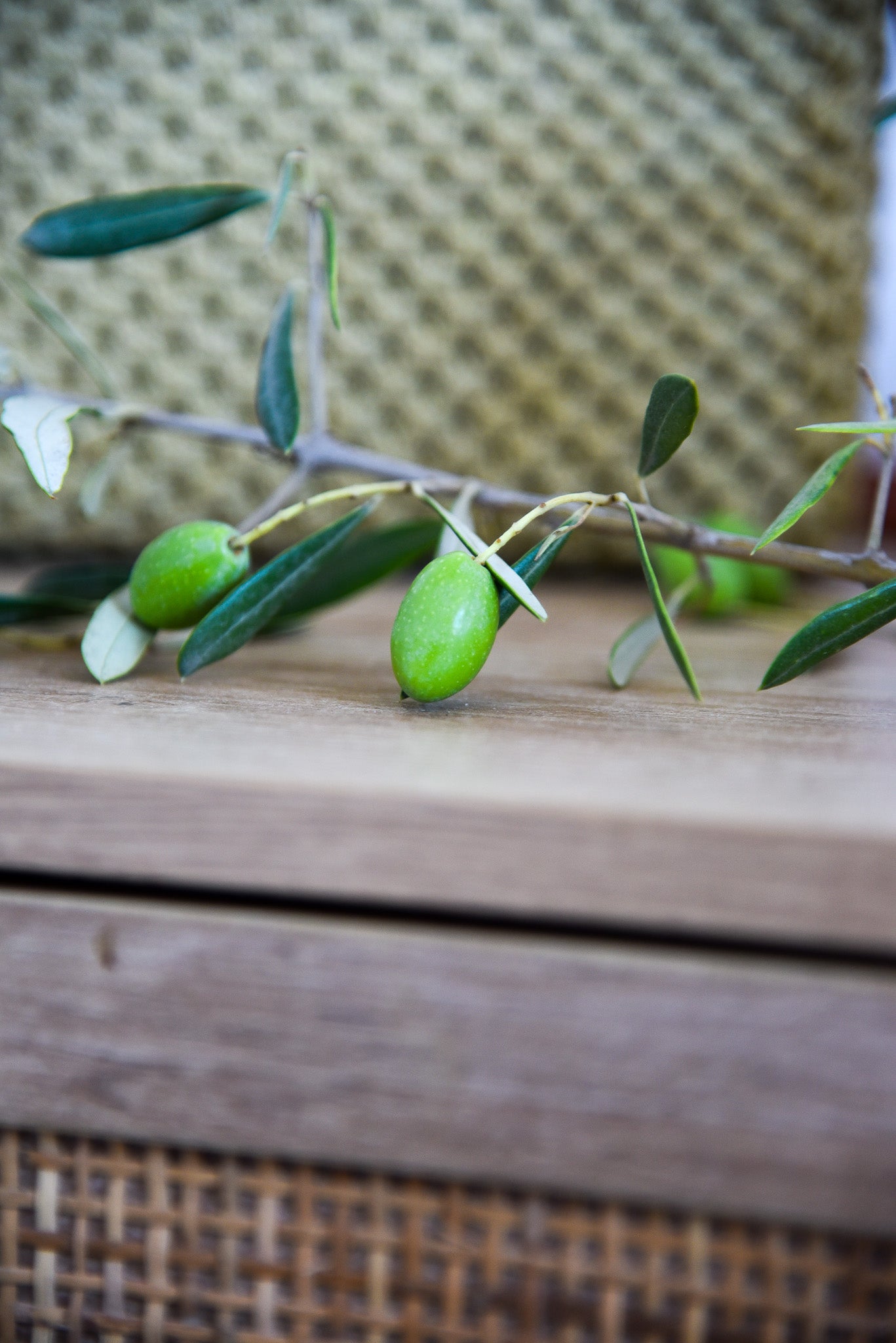 Sac " SUZY " vert agave