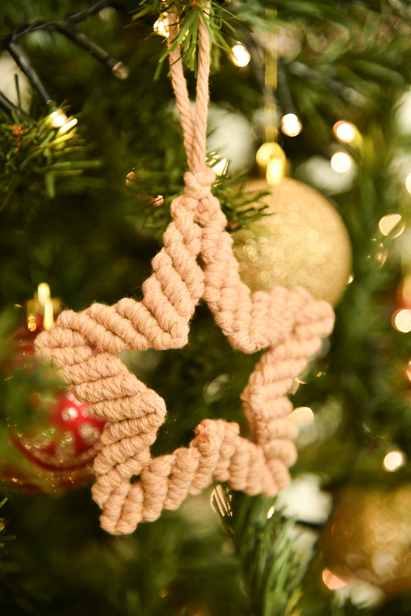 Petite étoile de noël camel